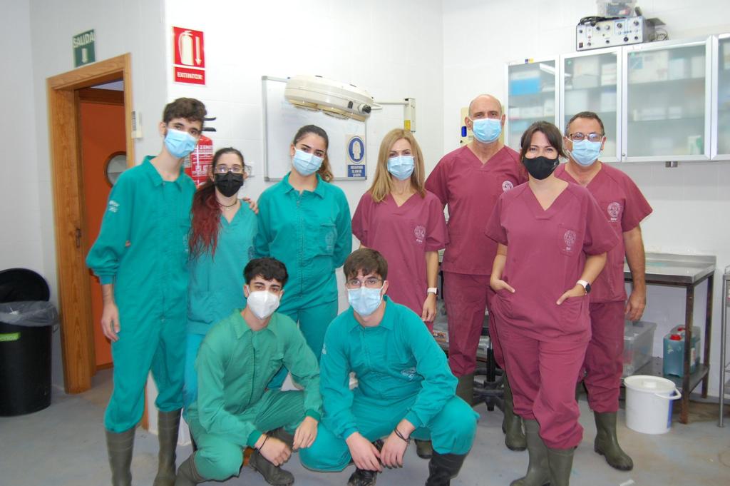 Un avance internacional en investigación auditiva con participación de Clínica Templado 3 Equipo investigador participante en el estudio publicado en Hearing Research con colaboración de Sheila Templado